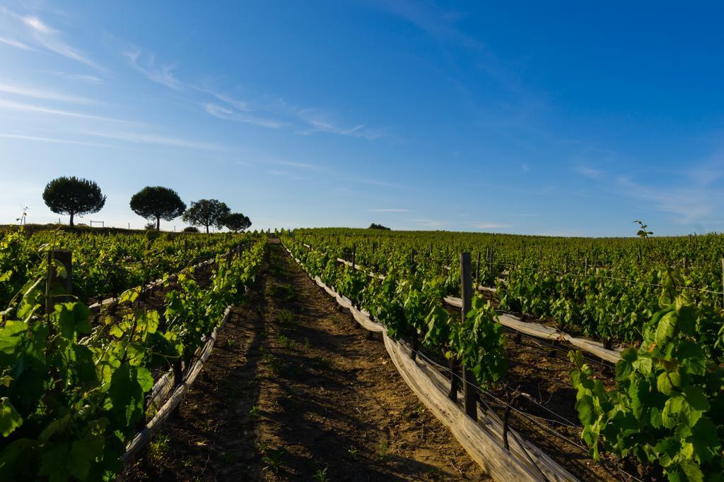 Herdade Da Calada Azaruja Zewnętrze zdjęcie